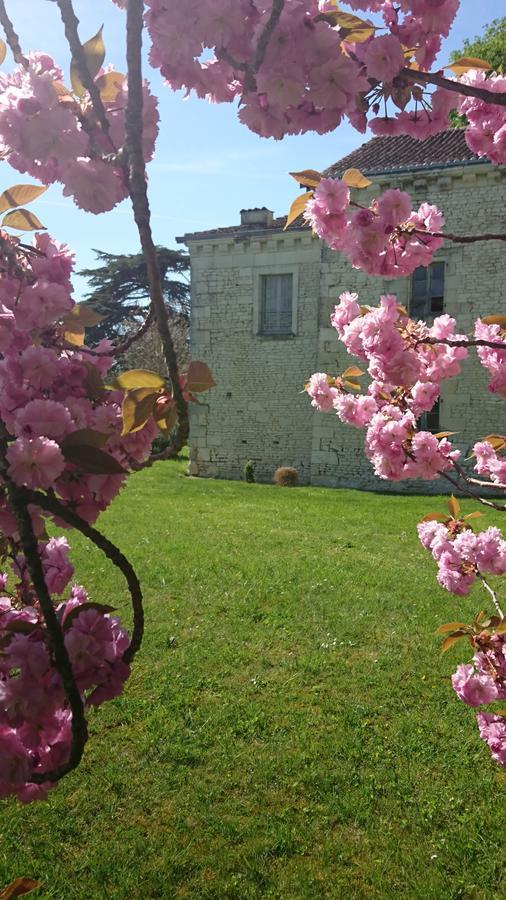 L'Olivier Villa Monts-sur-Guesnes Exterior photo