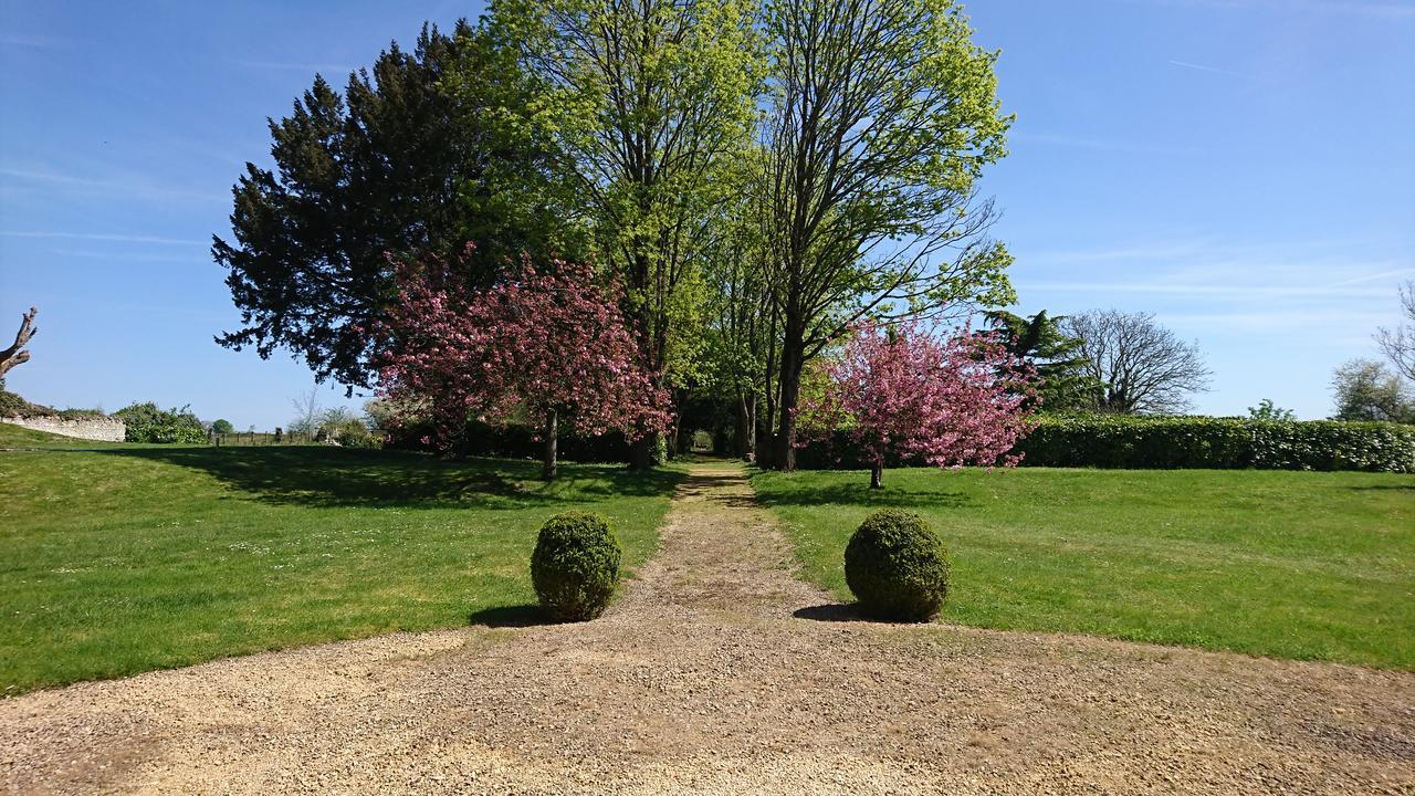L'Olivier Villa Monts-sur-Guesnes Exterior photo
